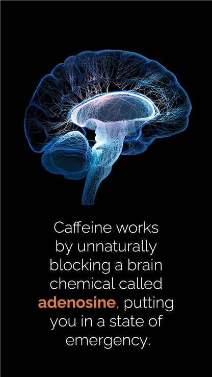 Doterra MetaPWR Mito2max zöldségkapszula