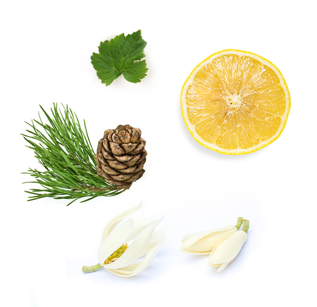 Doterra Shinrin-yoku moisturizing bath bar what is inside
